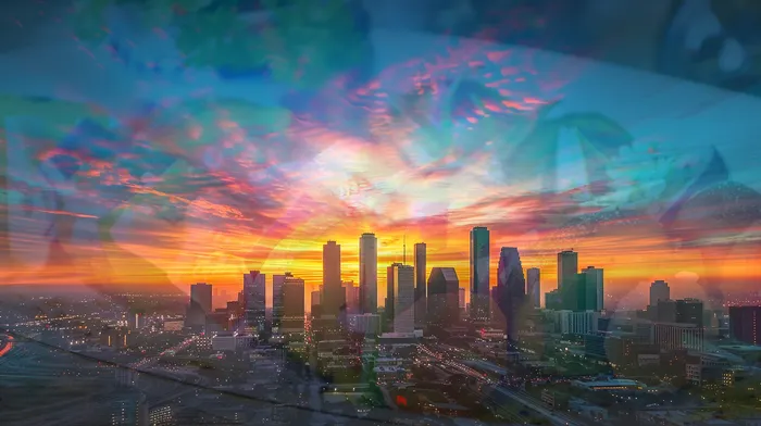 개인회생신용회복