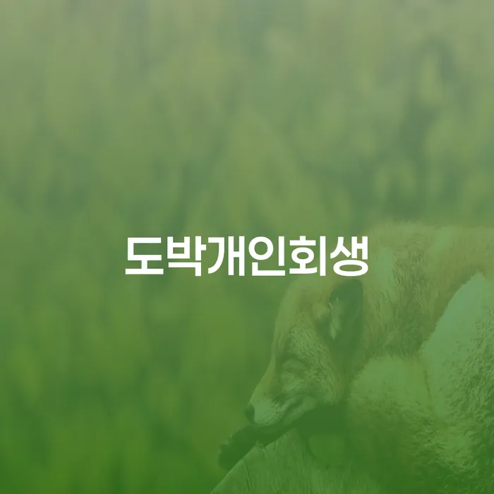 관악구 개인회생연체 워크아웃 탕감을진행